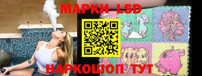 a pvp Новодвинск