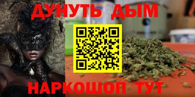 a pvp Новодвинск