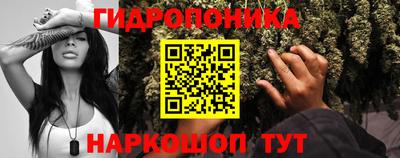 эйфоретик Обь