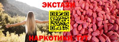 a pvp Новодвинск