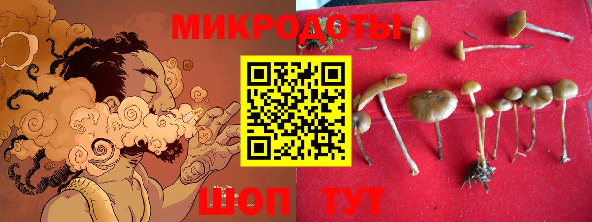 Галлюциногенные грибы мицелий  Вход с VPN  Галлюциногенные грибы GOLDEN TEACHER  Ухта 